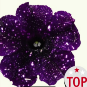 Bonnie Mystery Sky-1 горщик д.9