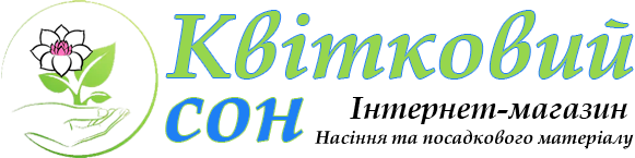 logo581x145_3_1.png