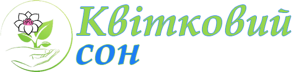 logo581x145 light 2 1