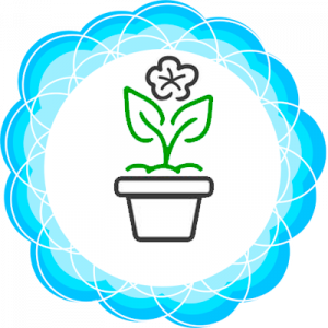 flower_in_pot_blu