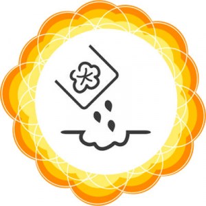 seed