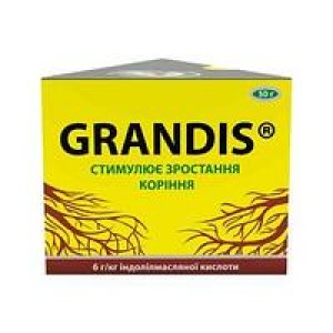 2900204591_w200_h200_kornevin-grandis-50
