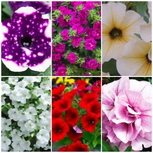 photo_2024-03-15_20-19-595