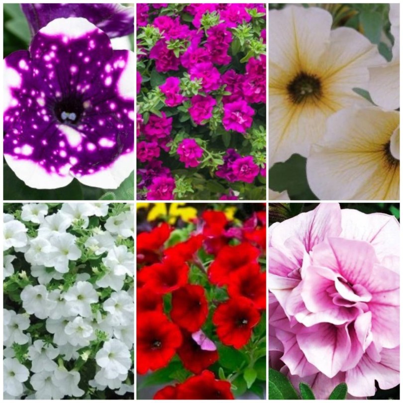 photo_2024-03-15_20-19-595